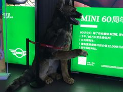 -卢米埃影城(住总万科杜比全景声激光店)