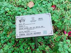 -广州神农草堂中医药博物馆