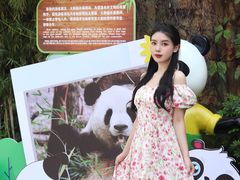 -灵玲国际马戏城