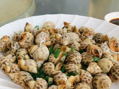 -七鲜渔港美食餐厅(巽寮湾海景店)