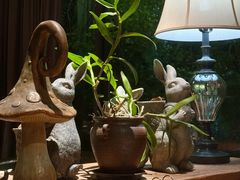 -肴约·花园式餐厅(湖里店)