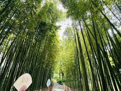 -陈家山荷花公园