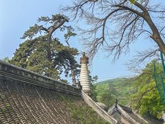 -潭柘寺景区
