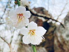 -广州市流溪河国家森林公园