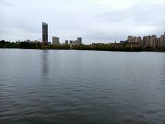 -成都南湖公园