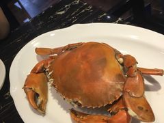 -渔傅·蓝海岸霞浦海鲜(正祥店)