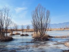 -野鸭湖国家湿地公园