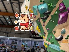 -成都大松果马达攀岩馆(金石店)