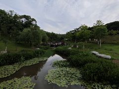 -东莞植物园