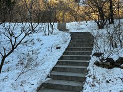 -香山公园