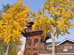 -永定河休闲森林公园