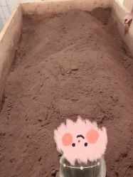 -茉秀必瘦站