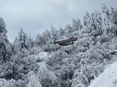-瓦屋山景区
