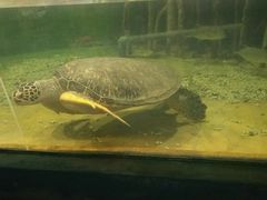 -苏州海洋馆