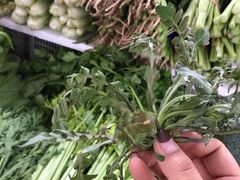荠菜-天塔菜市场