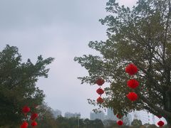 -雀儿山公园