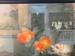 -姚建萍刺绣艺术馆