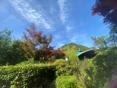 -麦积山温泉