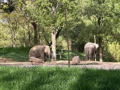 -北京野生动物园