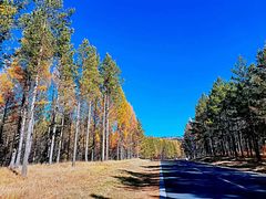 -塞罕坝国家级自然保护区