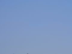 -暨阳湖生态园