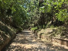 -函谷关历史文化旅游区