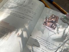 -懒鱼时光馆(沙坪坝店)