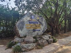 -云南勐巴娜西珍奇园
