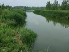-蒲河岛湿地公园