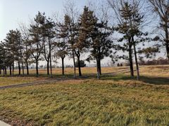 -汉长安城未央宫国家考古遗址公园