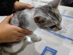 -子乐宠物医院