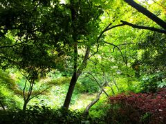 -杭州半山国家森林公园