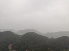 -大金鹰园