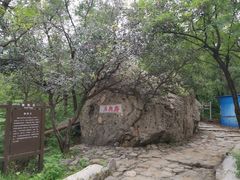 -阳台山自然风景区