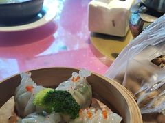-金龙寨(龙城路店)