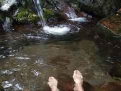 -羚羊峡古栈道森林公园