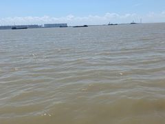 -大湾区中央湿地公园-十九涌