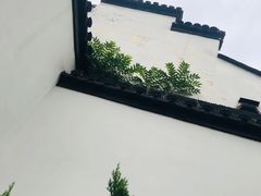 -南京市民俗博物馆(甘熙宅第)