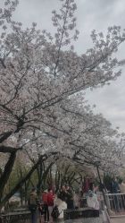 -晴川假日酒店·宴会厅·会议厅