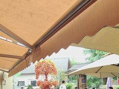 -后湖小院·乡野田园菜