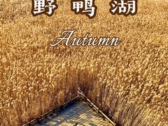 -沉浸北京·团建旅行·密室剧本杀·年会会议轰趴拓展