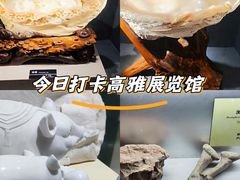 -河南自然博物馆