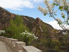 -辛玛王国游乐园