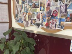 -顺强宠物诊所·狂犬免疫·夜诊·骨科(嘉定店)