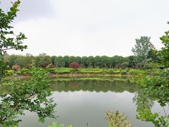 -武汉紫薇都市田园