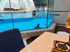 -帝企鹅自助餐厅•儿童岛•真企鹅(长隆企鹅酒店)