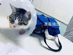 -达爱动物医院·犬猫分区·CT·复杂眼科(远洋山水分院)