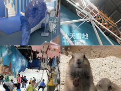 -Mr·Kuma酷么先生雪之乐园