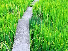 -苏州河梦清园环保主题公园