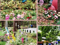 -上海共青森林公园